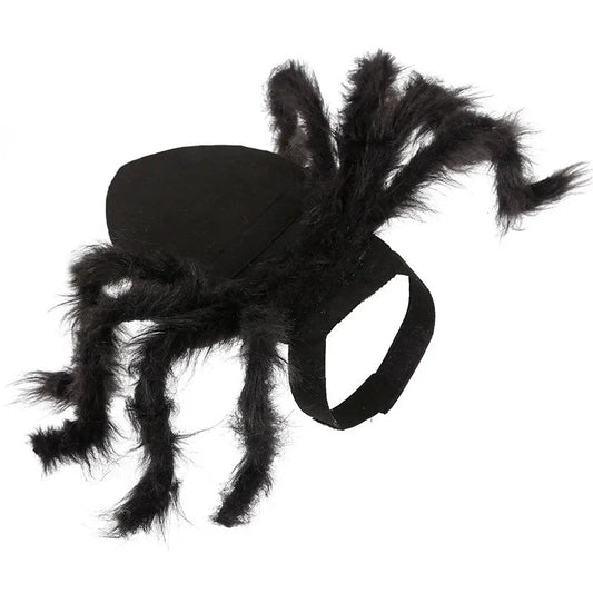 spider hat